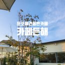 둔포애견 이미지