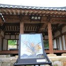 고목초등학교 티스토리