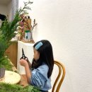 꽃집애 이미지