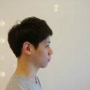 오키드 헤어 이미지