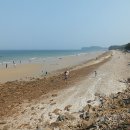 샛별해수욕장 티스토리