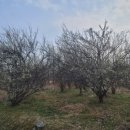 수북면사무소 이미지