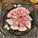 대박통 티스토리