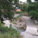 여우목로 이미지