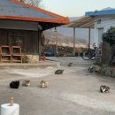 남해할무니댁