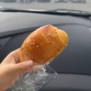 이차돌속초교동점 | 봉브레드 [속초/빵지순례 메뉴 추천/마늘바게트 맛집/택배,주차정보/솔직후기]