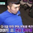 고고헬스