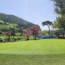 오션힐스청도골프클럽 이미지