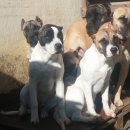 옹기종기 이미지