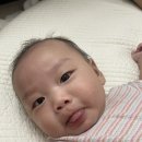 서인약국 | [서산 유니연합소아과] 4개월 접종 후기(접종열, 목욕, 잠, 이훈영원장님)