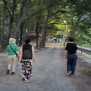 지리산꽃담 티스토리