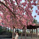 선동1리경로당 이미지