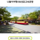 나들이여행사&성운고속관광 네이버블로그