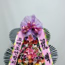 조앤조연합치과의원 이미지