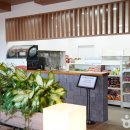 메이플비치 골프&리조트 티스토리