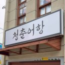 청춘어항