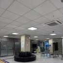 서광자동차병원 이미지