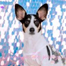 항상봄처럼 스튜디오 이미지