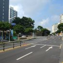 서귀동-34 이미지