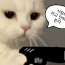 리즈온의원 | 서울 마포구 리즈온의원 눈가보톡스 내돈내산 후기