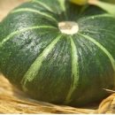 우신한의원 이미지