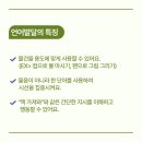 아이언어발달의원 네이버블로그
