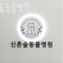 신촌 숲 동물병원 이미지