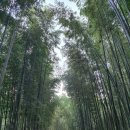 담양을 담다 이미지