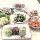 새싹 채소 비빔밥 이미지
