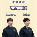 레브하헤어 이미지