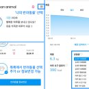 고양이 하루 이미지