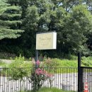 팜카페빨간머리앤 이미지