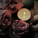 피어스와 시애틀 이미지