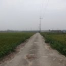 덕진-118 네이버블로그