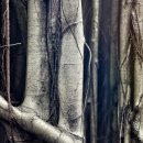 창원탑치과의원 이미지