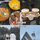 P-5107 | 강원도여행 속초 강릉 평창 당일치기 맛집 카페 눈스팟