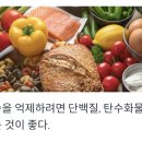 오늘의 단백질 이미지