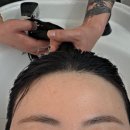 정성희헤어메이컬 | 메이아이헤어 갈마동 미용실 매직셋팅C컬펌 솔직후기