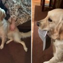 집안살림 이미지