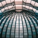 엉뚱푸드 이미지