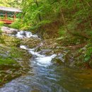 태안사계곡 이미지