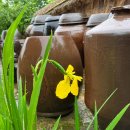 화포천마을 이미지