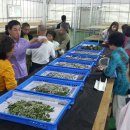 광형농장 이미지