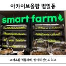 조방로10번길 | 범일동 밥집 점심 주차까지 완벽한 가성비 아카이브올팜 쌈밥뷔페 후기