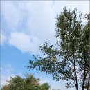 난향동-6 이미지