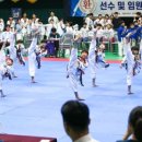 베스트성동태권도 네이버블로그