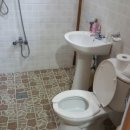 다오레펜션 이미지