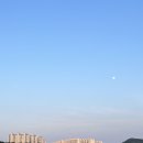 돈구운 이미지