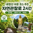 내장산 쉬운 코스 추천｜자연관찰로 따라 원적암·사랑의 다리·벽련암 2시간 후기