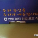 일직농장 이미지